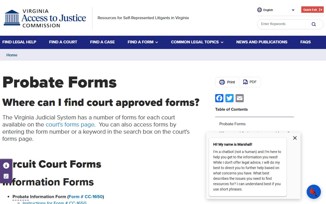 Virginia probate court records forms portal